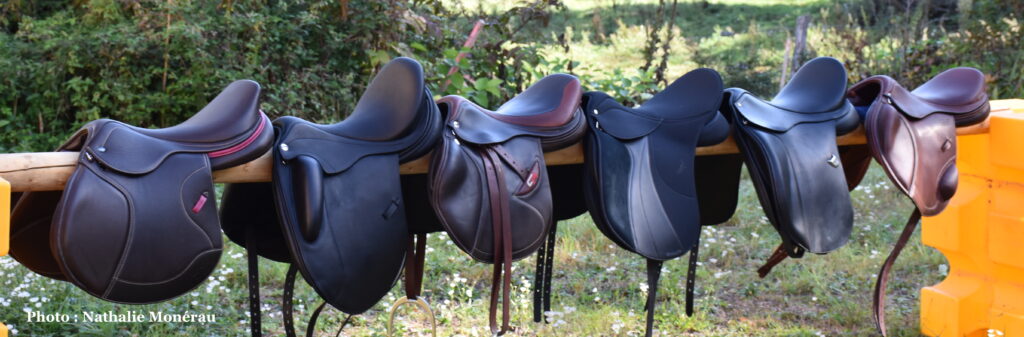 saddle fitting essai selle bourgogne