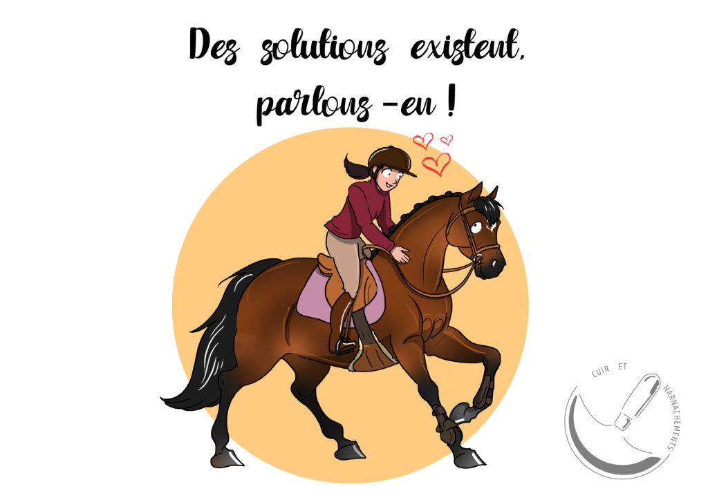saddle fiting solutions bourgogne